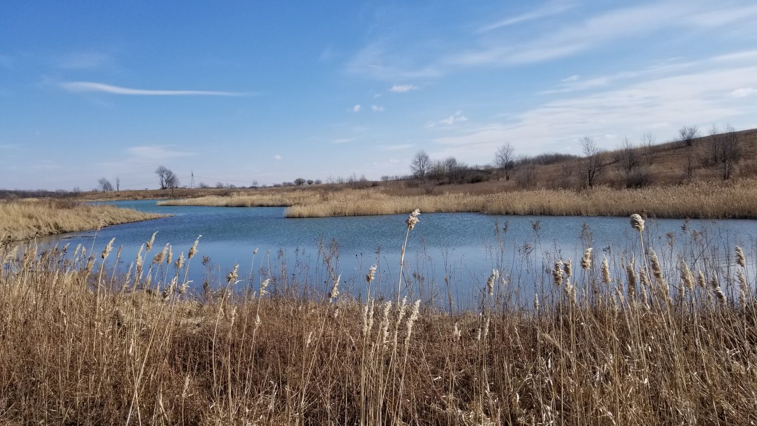 Goose Prarie Natural Area 